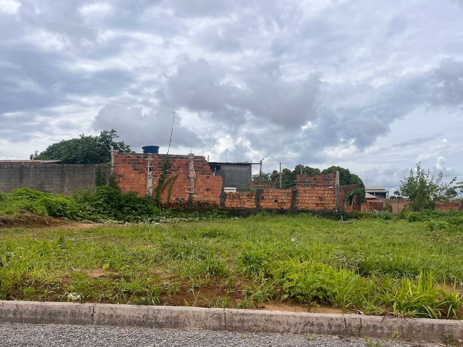 WhatsApp Image 2024-12-18 at 16.11.45